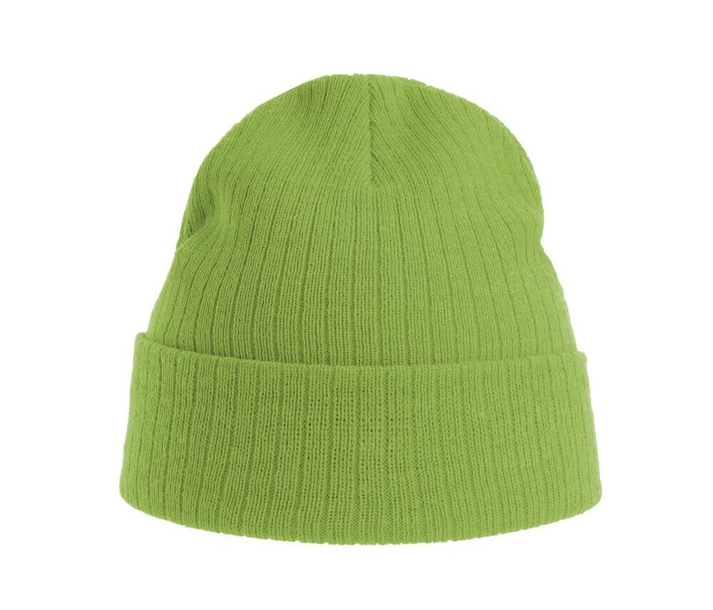 Atlantis AT208 - Recycled polyester beanie