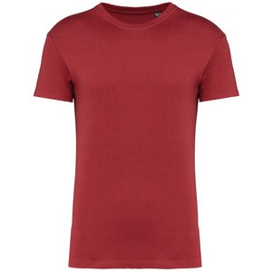 Kariban K3032IC - Organic 190IC crew neck T-shirt Terracotta Red
